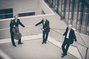 Feininger Trio, Adrian Oetiker, Christoph Streuli, David Riniker